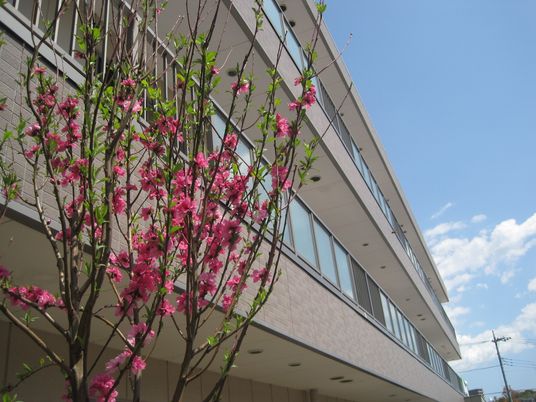 花木のある施設外観  