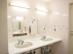 清潔な洗面台と鏡