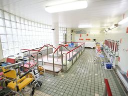 清潔な浴室の様子