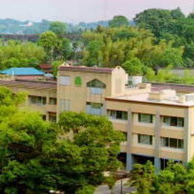 緑に囲まれた建物