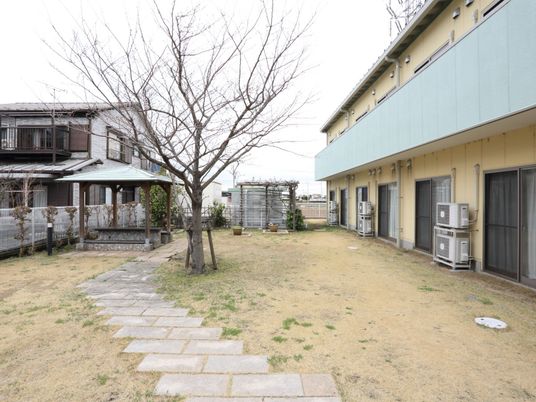 緑豊かな庭の風景