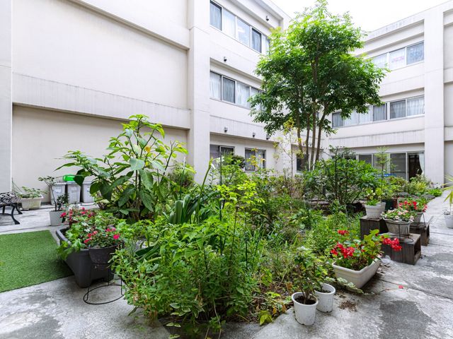 緑豊かな中庭 中庭 季節の花が咲き誇る中庭です。お手入れされた庭で、リフレッシュする時間を楽しめます。