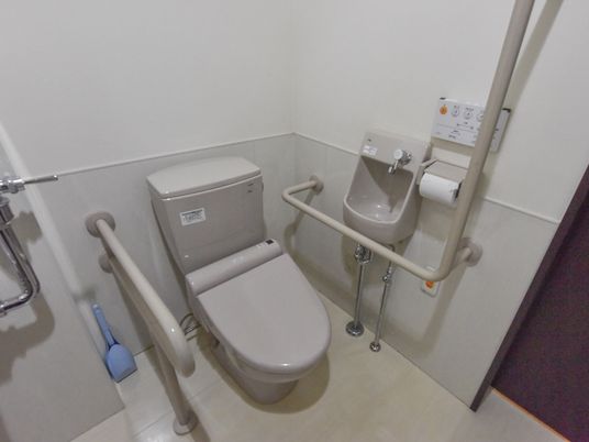 施設の写真 広々としたスペースがあるトイレには手洗い台が設置されている。壁、便器の脇に手すりが取り付けられている。