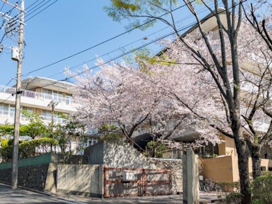桜並木のある外観  
