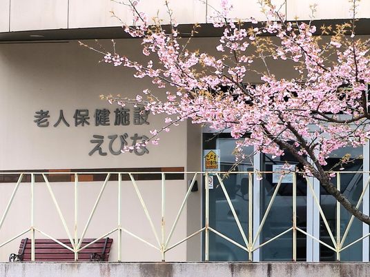 桜と施設の外観  