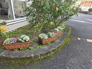花壇のある外観  