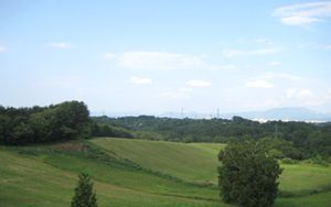 広がる緑の中庭