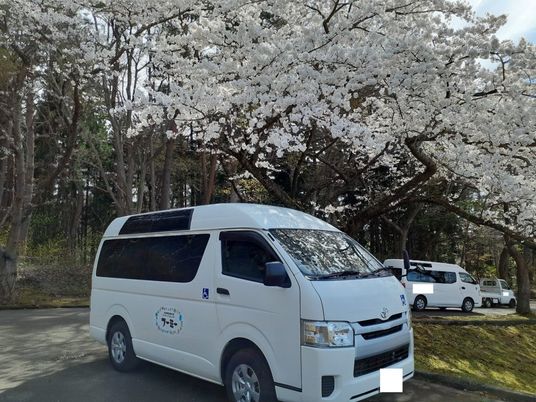 桜の下の送迎車