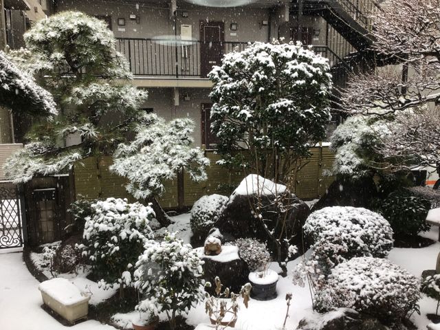雪景色が広がる中庭 中庭 四季折々の風情を楽しめる雪景色が広がります。居住者の癒しの場として親しまれています。
