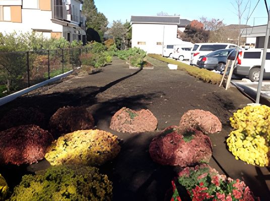 色とりどりの花が咲く庭