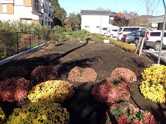 色とりどりの花が咲く庭