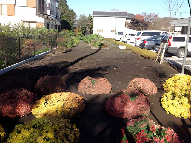 色とりどりの花が咲く庭 庭 色鮮やかな植栽が広がり、自然を感じられる庭です。リラックスした時間を過ごせます。
