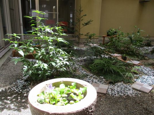 中庭の植栽  