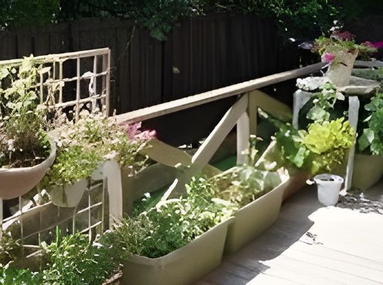 植物が飾られた明るい庭