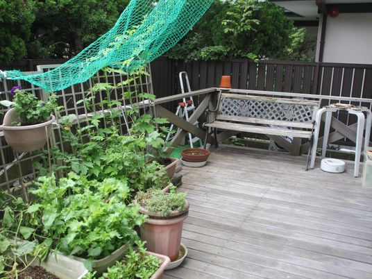 緑豊かな屋外テラス