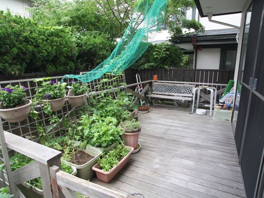 緑に囲まれた屋外テラス