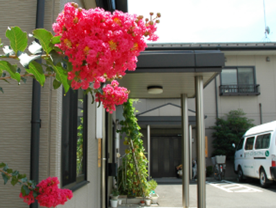 色鮮やかな花咲く入口
