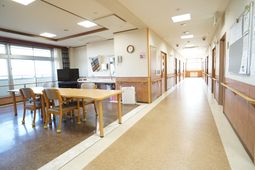 明るい廊下と共有スペース