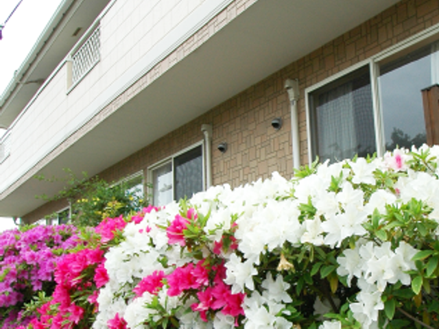 色とりどりの花の外観 外観 色鮮やかな花々が植えられている建物の外観です。魅力的な環境で気持ちよく働けます。