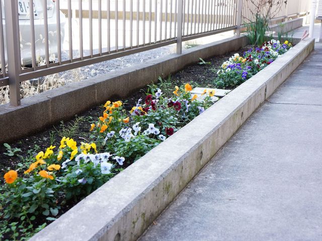 花々が彩る施設の中庭 花壇 季節の花々で心を和ませる中庭スペース。外界とつながる自然の彩りが、生活に彩りをもたらします。