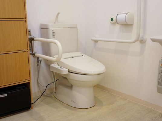 施設内の洋式トイレ。温水洗浄便座付きトイレで、便座にスイッチが付いているタイプである。両側に手すりが設置されている。