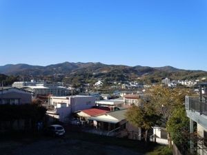 緑豊かな景色の外観