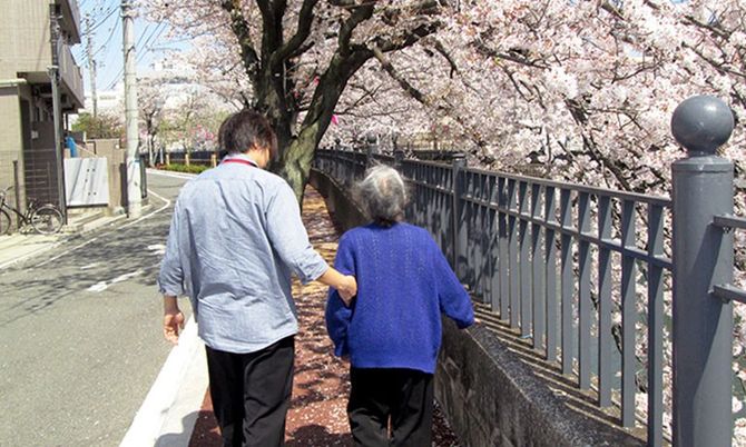 桜並木を散歩する二人