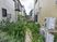 中庭の植物とエアコン