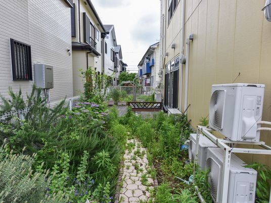 中庭の植物とエアコン