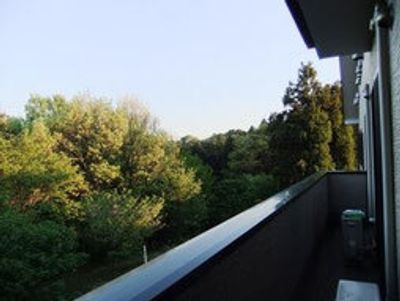 緑豊かな中庭の景色