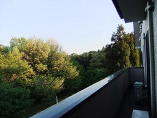 緑豊かな中庭の景色