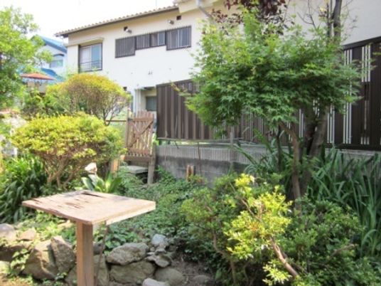 中庭の緑豊かな景色