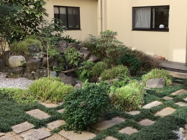 自然が溢れる中庭 中庭 緑豊かな中庭があり、自然を感じながらゆったりとした時間を過ごせます。