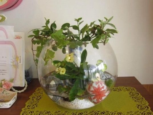 丸いガラスの植物装飾