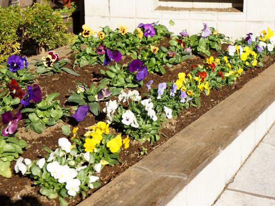 色とりどりの花々が植えられた中庭