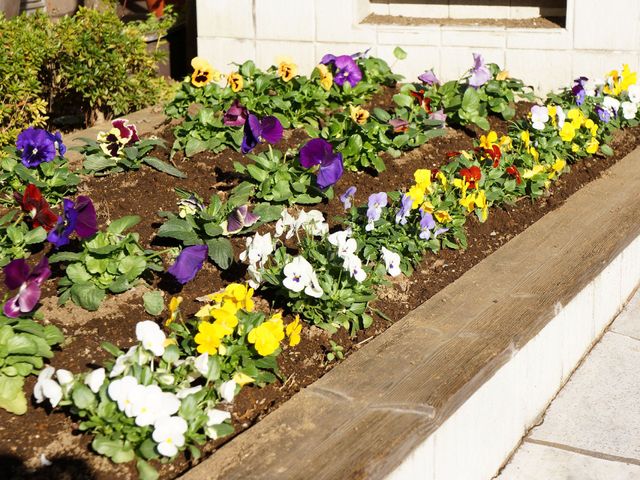 色とりどりの花々が植えられた中庭 花壇 季節の花々が彩り豊かに咲き誇る中庭です。こちらで心地よい風を感じながら、ゆったりとした時間を過ごすことができます。
