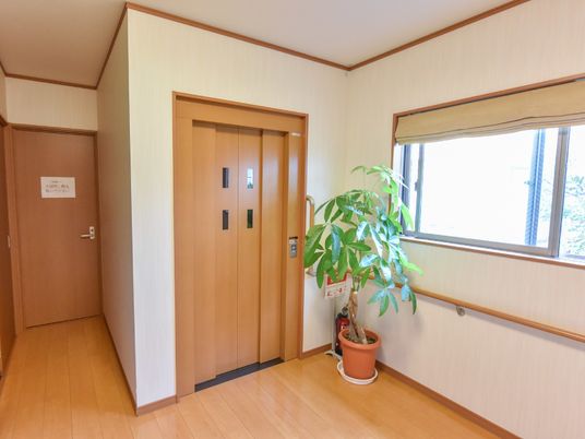 清潔感のある廊下とエレベーター