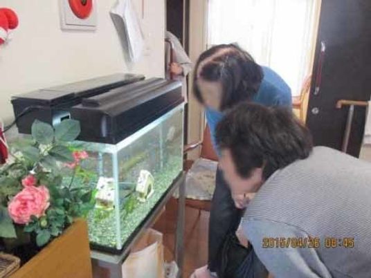 水槽を観る人々の様子