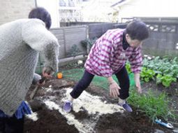 庭で活動する人々
