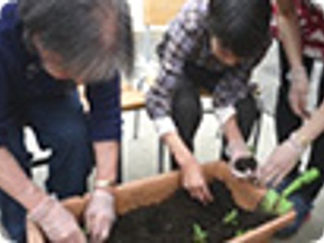 活動の様子 多目的室 利用者が楽しく植物の世話をしています。みんなで協力して取り組む活動です。