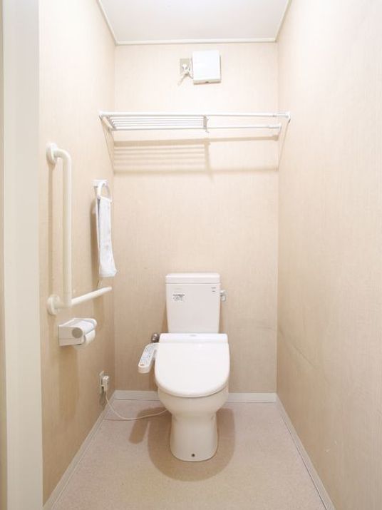 トイレルームは落ち着いた薄茶色の内装となっており、ゴミなども落ちてないので不快感を感じることなく用が足せる。