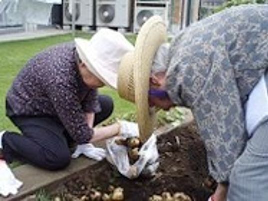 庭で植物の手入れをする人々