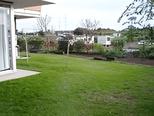 庭の緑と建物の外観