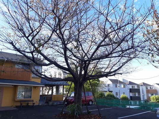 自然豊かな施設外観