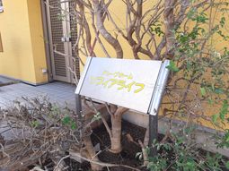 ソフトライン求人対象