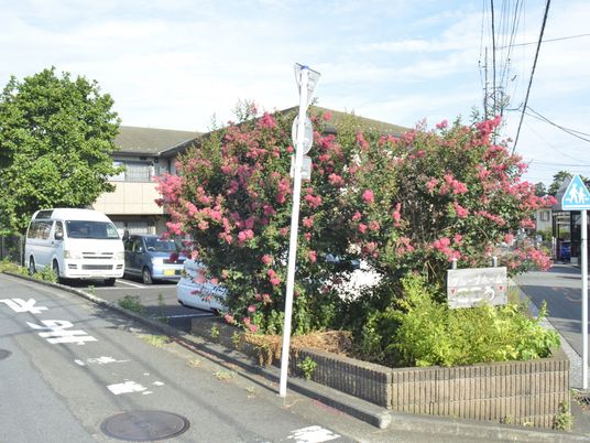 建物の外観