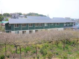 緑豊かな環境の建物外観