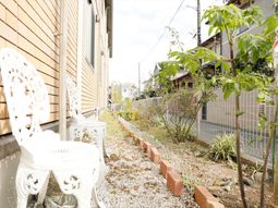 庭のベンチと植物