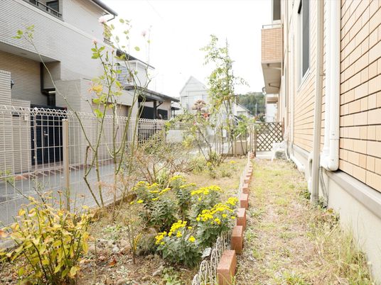建物隣の小さな庭