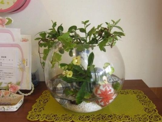丸いガラスの植物装飾